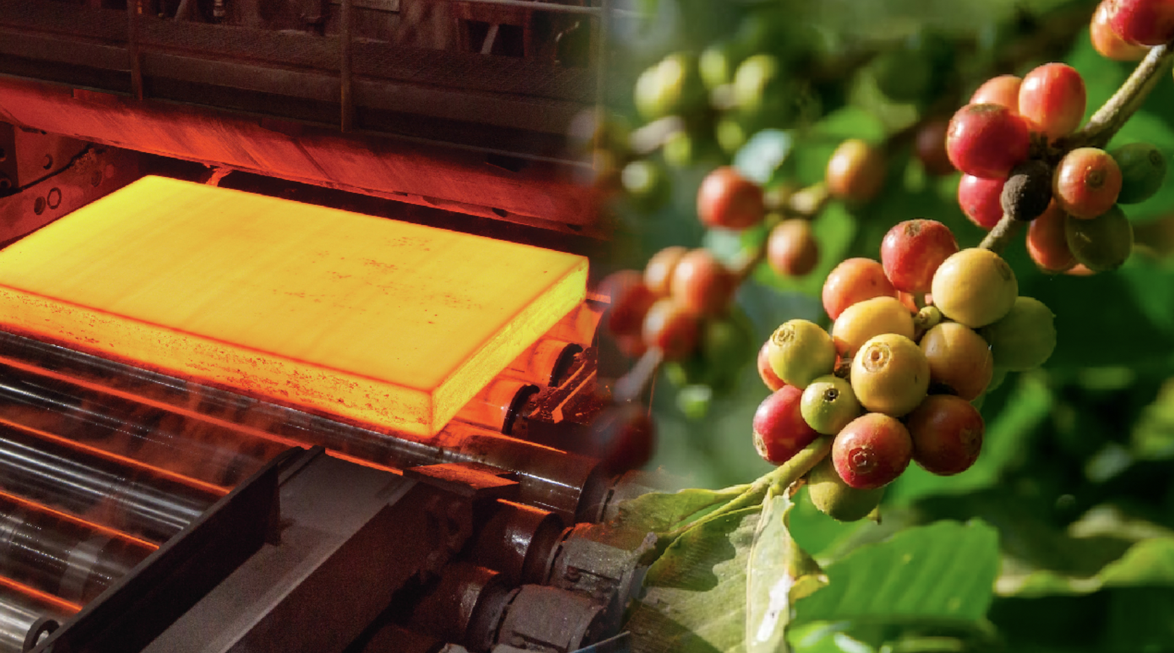 Sắc xanh bao trùm bảng giá kim loại và cà phê